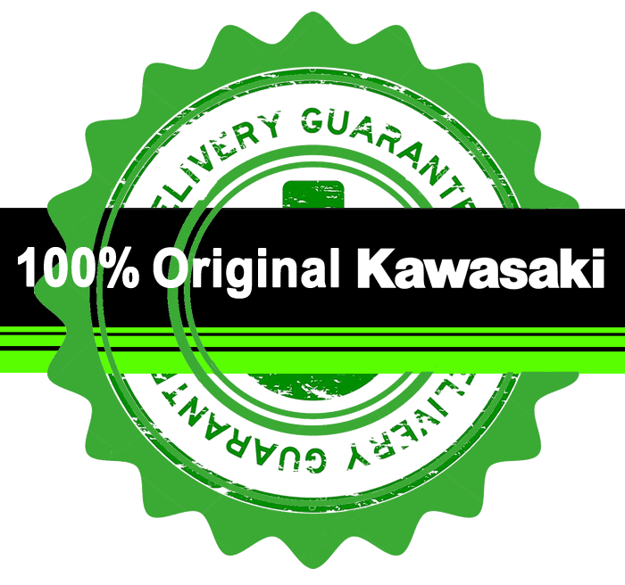 recambios originales 100% Kawasaki